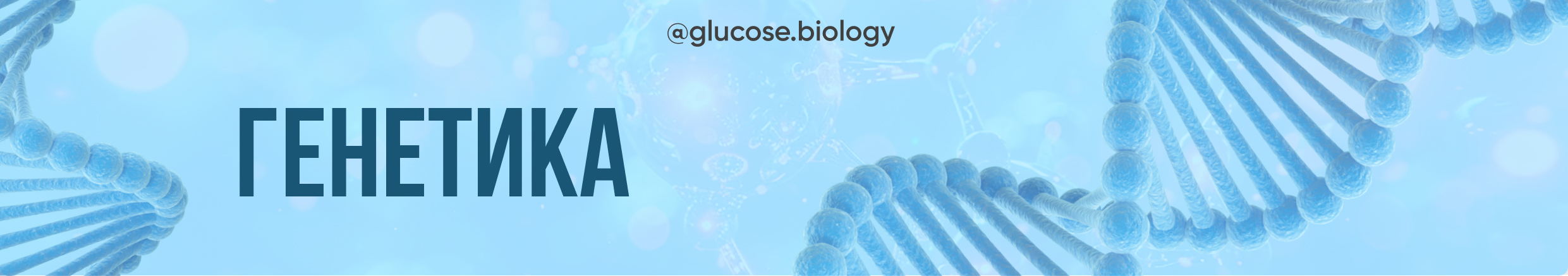 GLUCOSE